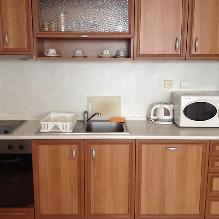 Levante Apartcomplex 아파트호텔 네세부르
